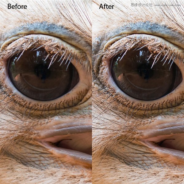 PhotoshopɣCC汾ȫY