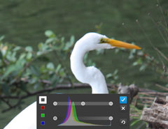 Photoshop|ԇã܏󼚹