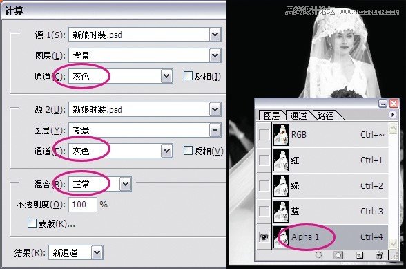 Photoshop鼆Ƭ