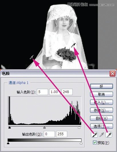 Photoshop鼆Ƭ