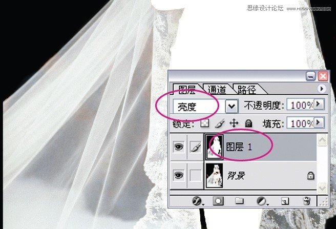 Photoshop鼆Ƭ
