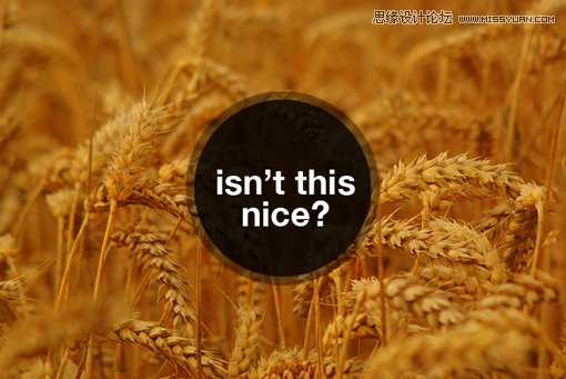 10ДõóֵPPT