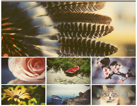 oƬD(zhun)ˇg(sh)ɫЧ{(dio)ɫ(dng)