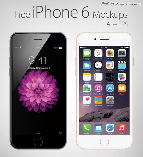 50µiPhone6ԭزMd
