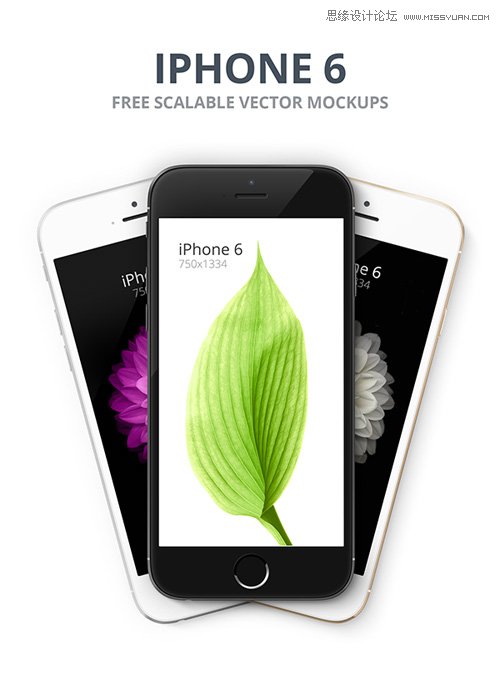 50µiPhone6ԭزMd