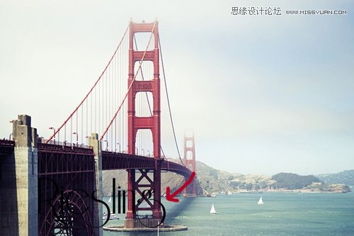 Photoshop̎׌wr
