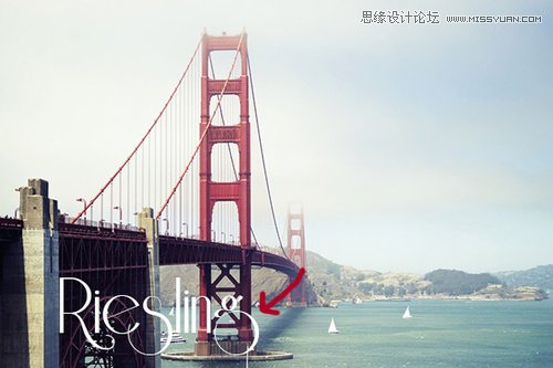 Photoshop̎׌wr