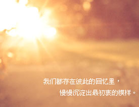 PhotoshopΨpGIFӮ