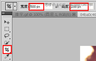 PhotoshopΨpGIFӮ
