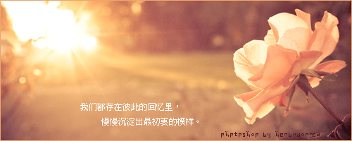PhotoshopΨpGIFӮ