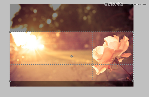 PhotoshopΨpGIFӮ