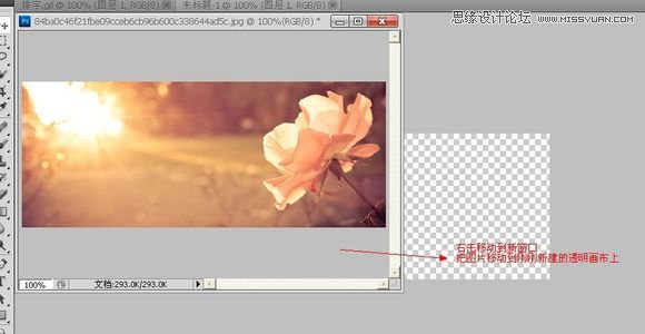 PhotoshopΨpGIFӮ