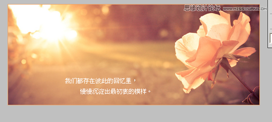 PhotoshopΨpGIFӮ