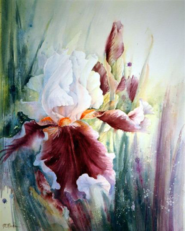 Marie Claire MoudruLO(sh)Ӌp