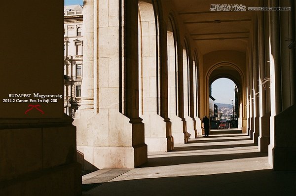νŮĔzr(sh)ŮȻL(fng)
