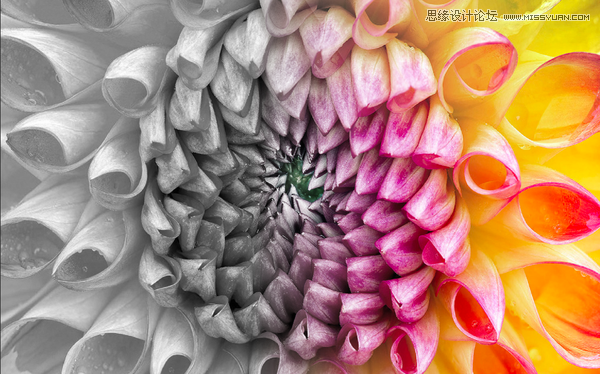 PhotoshopԔɰ湤ߵĺõʹü