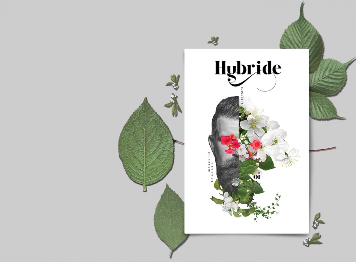 HybrideƯs־OӋp