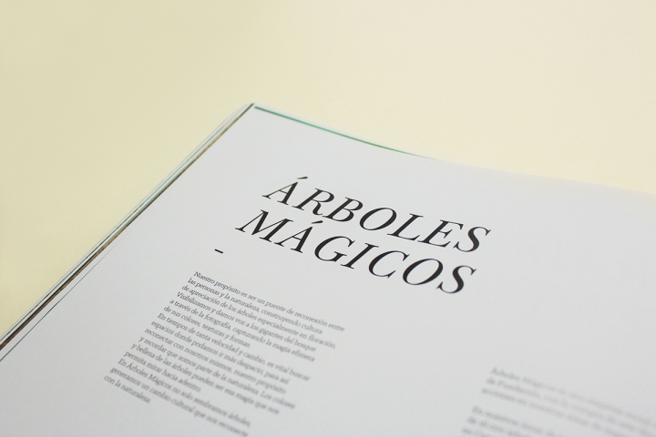 Arboles MagicosOӋp