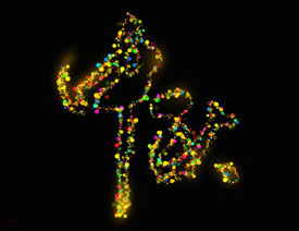 Photoshop﹝(ji)ˇgֽ̳