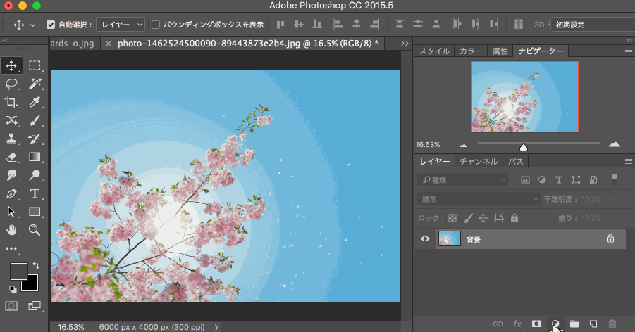 PhotoshopԔ(x)5(g)(sh)õĿI