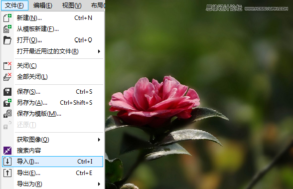 CorelDRAWѩFЧ