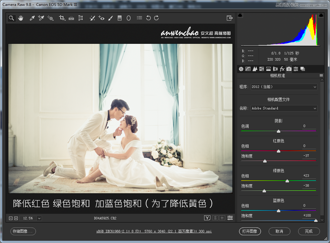 Photoshop調(diào)出室內(nèi)婚紗照片淡藍色藝術(shù)效果