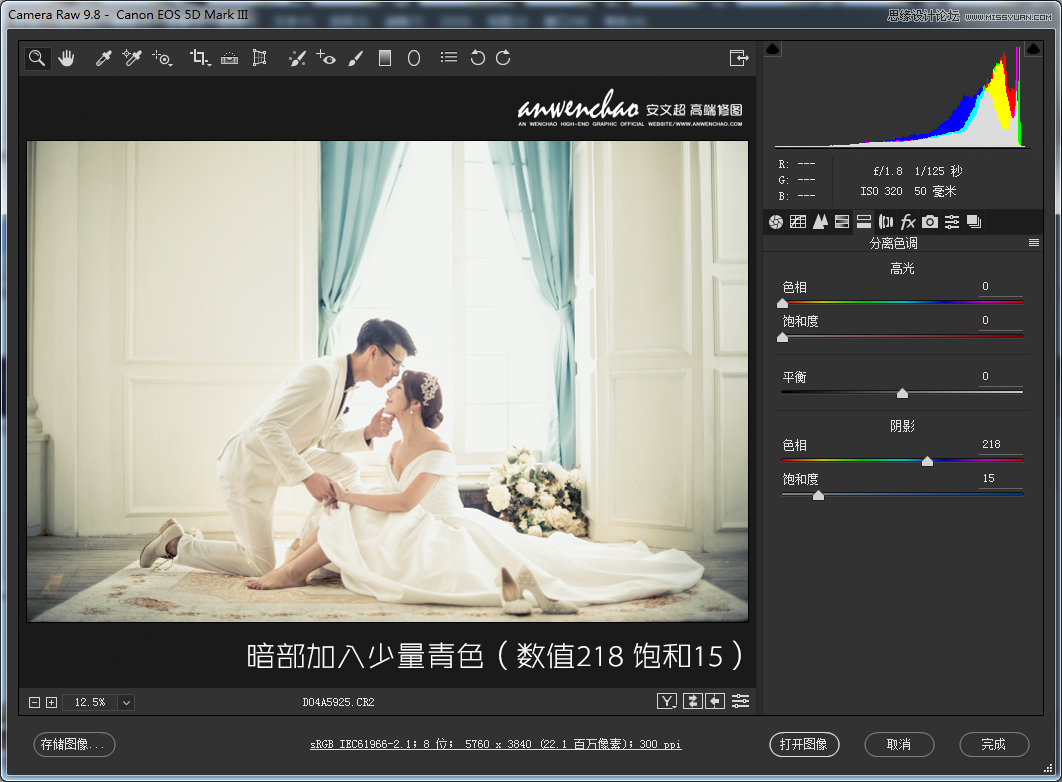 Photoshop調(diào)出室內(nèi)婚紗照片淡藍色藝術(shù)效果