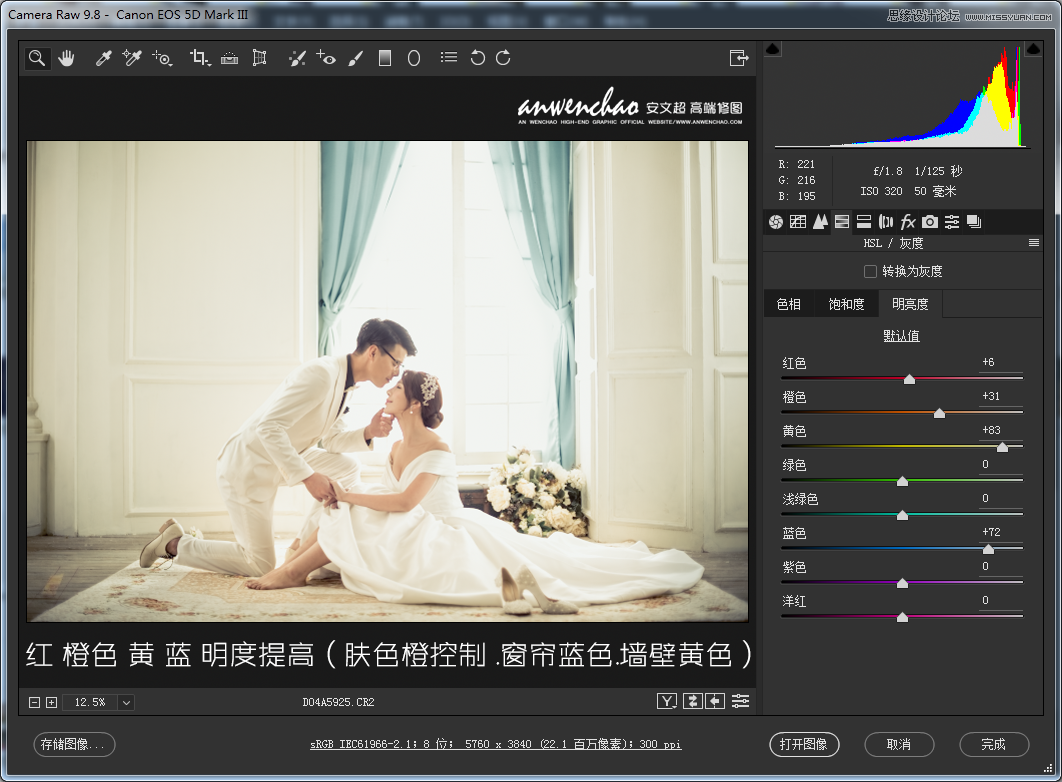 Photoshop調(diào)出室內(nèi)婚紗照片淡藍色藝術(shù)效果