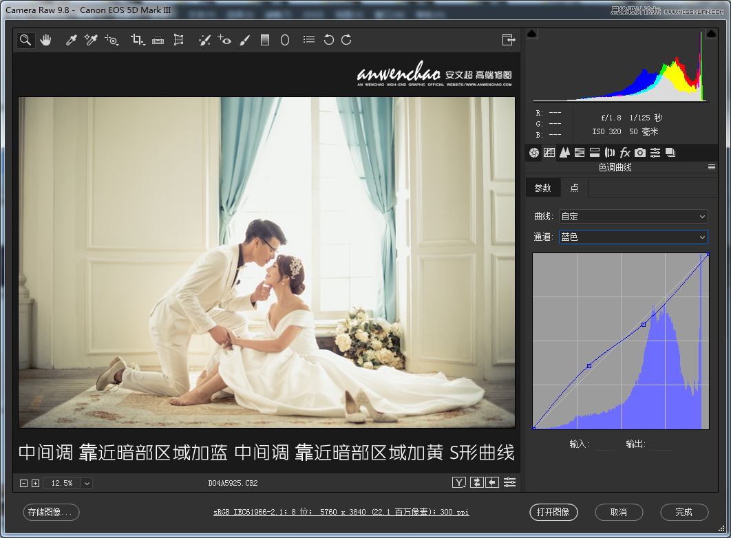 Photoshop調(diào)出室內(nèi)婚紗照片淡藍色藝術(shù)效果