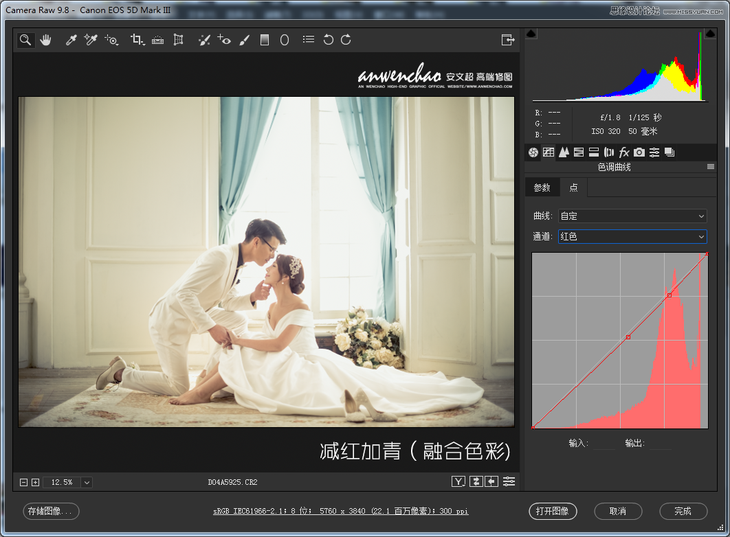 Photoshop調(diào)出室內(nèi)婚紗照片淡藍色藝術(shù)效果