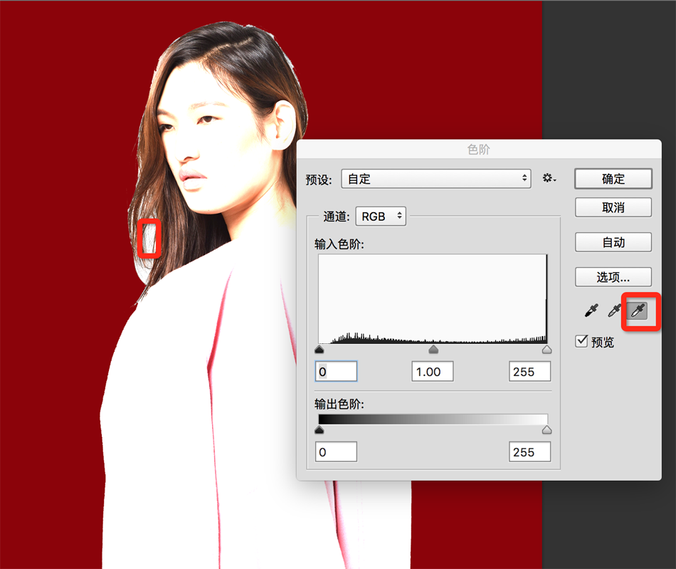 PhotoshopԔ^lړD