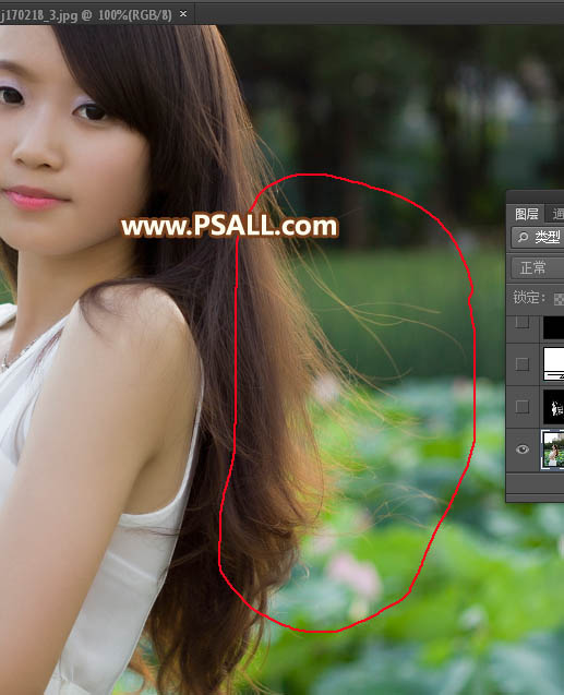 Photoshop(f)sŮ^l(f)z