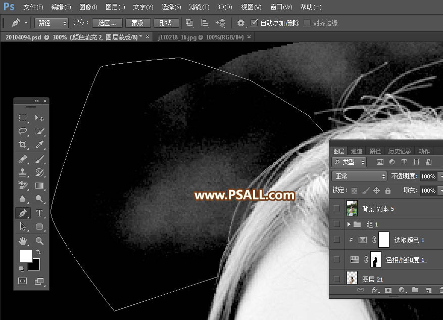 Photoshop(f)sŮ^l(f)z