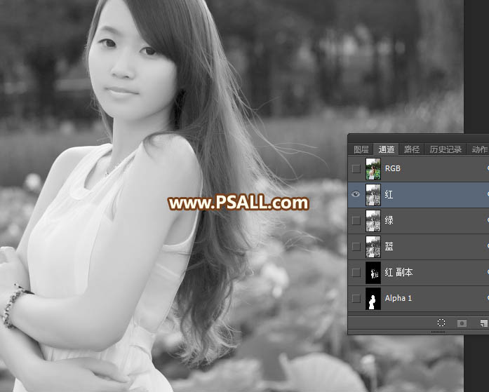 Photoshop(f)sŮ^l(f)z