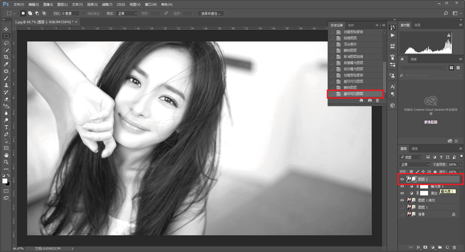 PhotoshopԔڈD̎傀T