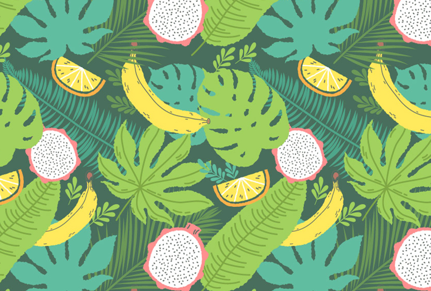 IllustratorLʸLğᎧLD̳