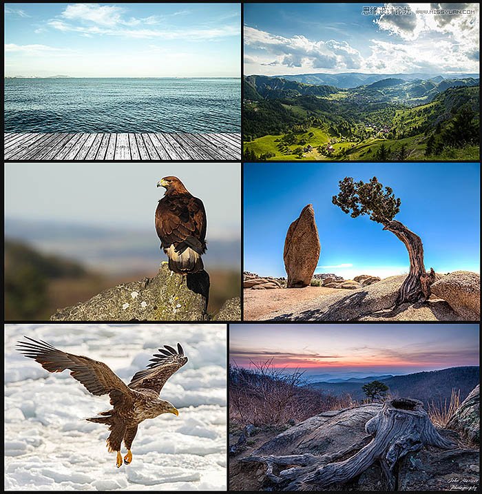 PhotoshopOӋ＾}ŮbȫN