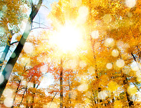 Photoshop糿(yng)(dng)(hu)ЧD