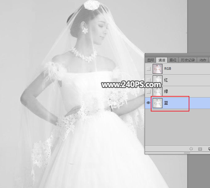 Photoshopٓ͸Ļ鼆Ƭ