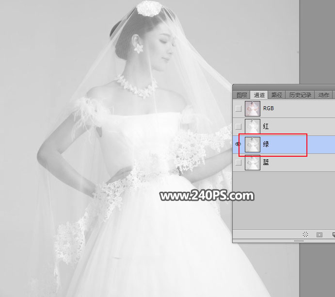 Photoshopٓ͸Ļ鼆Ƭ