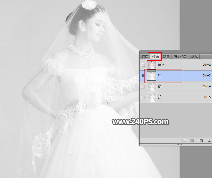 Photoshopٓ͸Ļ鼆Ƭ
