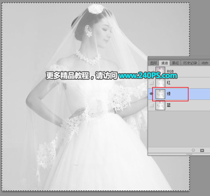 Photoshopٓ͸Ļ鼆Ƭ