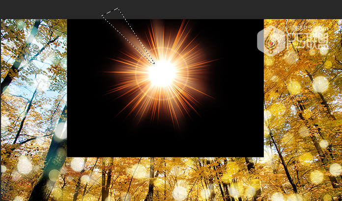 Photoshop糿ꖹӮЧD
