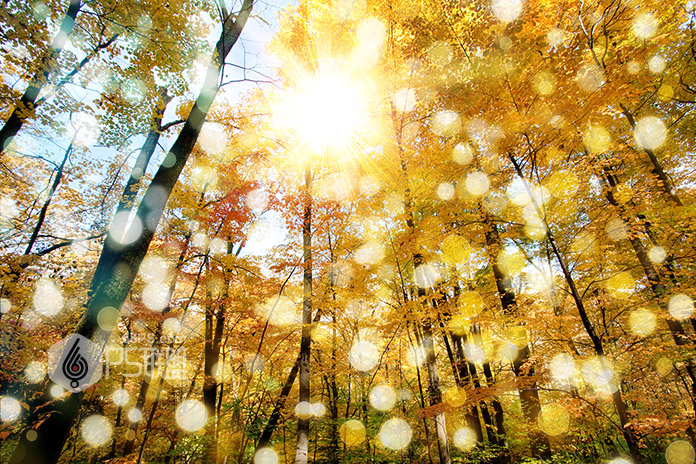 Photoshop糿ꖹӮЧD