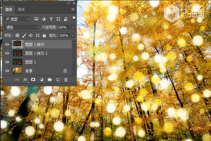 Photoshop糿ꖹӮЧD