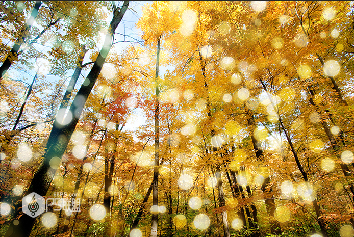 Photoshop糿ꖹӮЧD