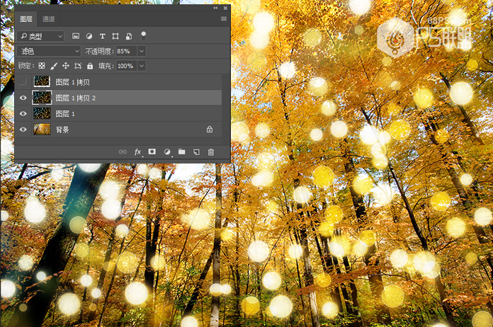 Photoshop糿ꖹӮЧD