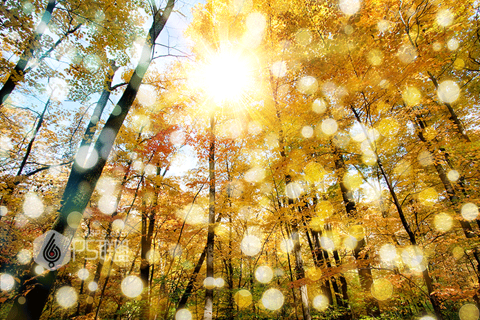 Photoshop糿ꖹӮЧD