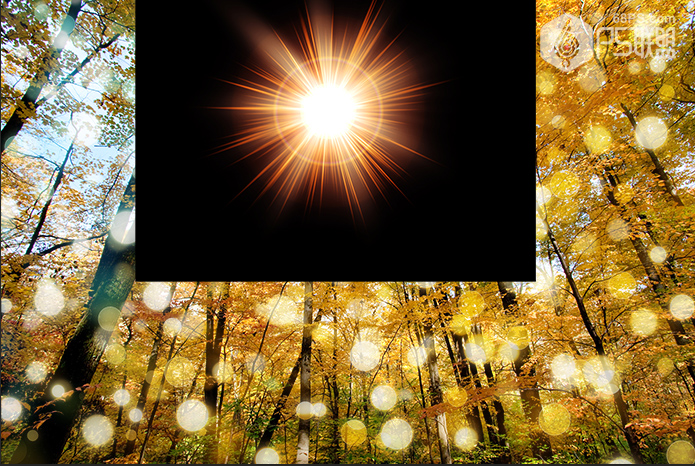 Photoshop糿ꖹӮЧD