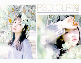 ⾰ΨСЧPSDD
